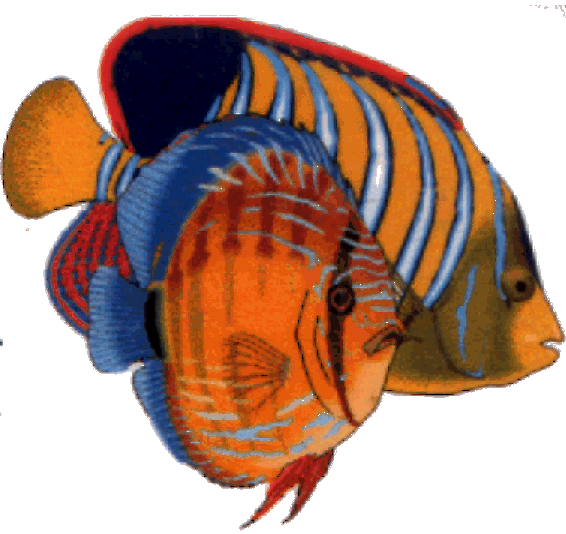 logoaga